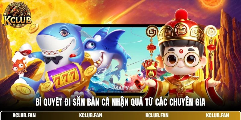 Bí quyết đi săn bắn cá nhận quà từ các chuyên gia