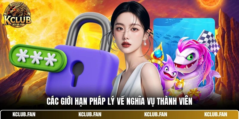 Các giới hạn pháp lý về nghĩa vụ thành viên