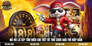 no hu la gi tim hieu chi tiet ve tro choi giai tri hap dan
